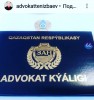Адвокат Тенизбаев Талгат