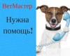 Ветеринарная помощь с выездом и в клинических условиях 247